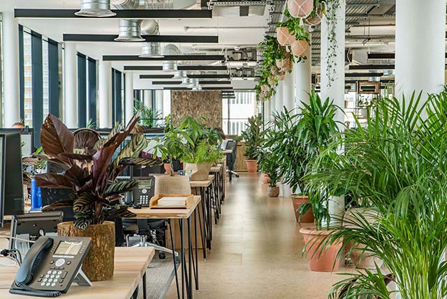 廣州裝修設(shè)計(jì)公司